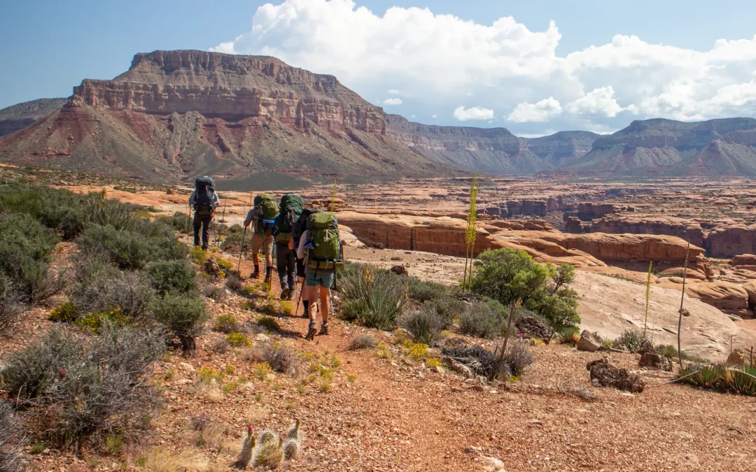 Women’s Grand Canyon Backpacking Adventure