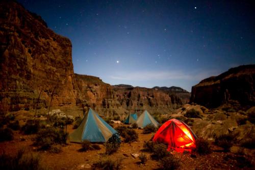 Under the stars