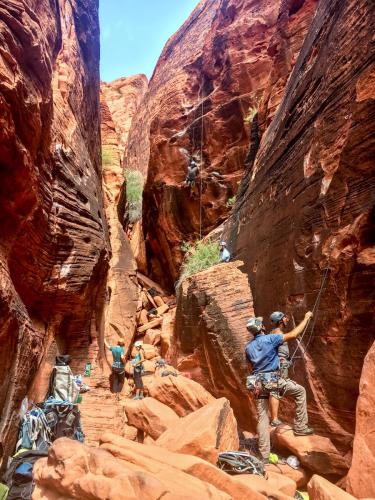 A plethora of routes