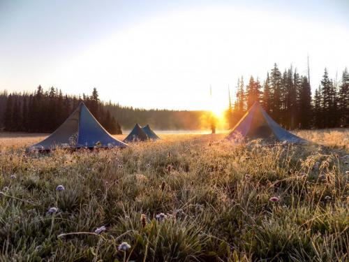 Frosty morning