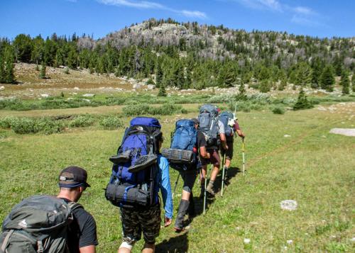Off we go to journey into the wilderness
